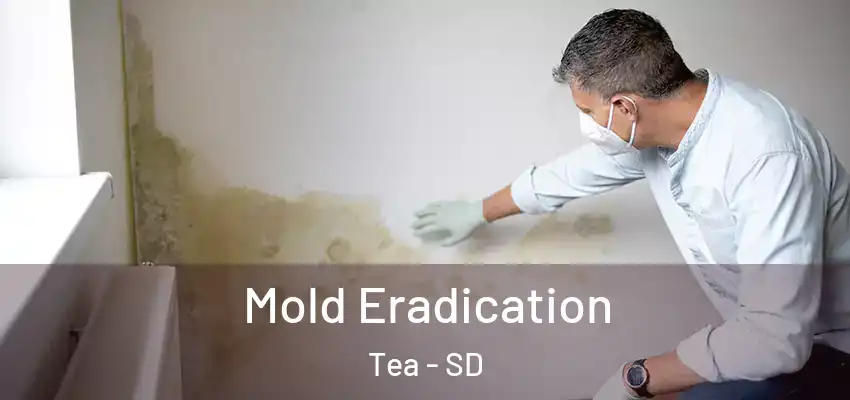  Mold Eradication Tea - SD