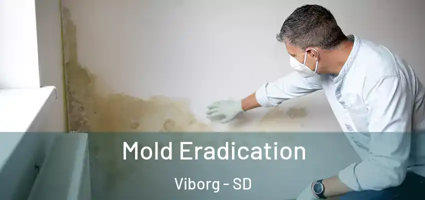  Mold Eradication Viborg - SD