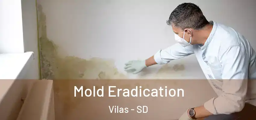 Mold Eradication Vilas - SD