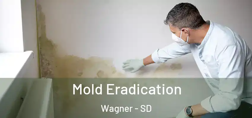 Mold Eradication Wagner - SD