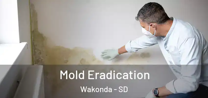 Mold Eradication Wakonda - SD