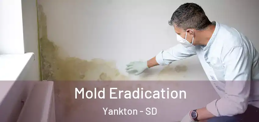 Mold Eradication Yankton - SD