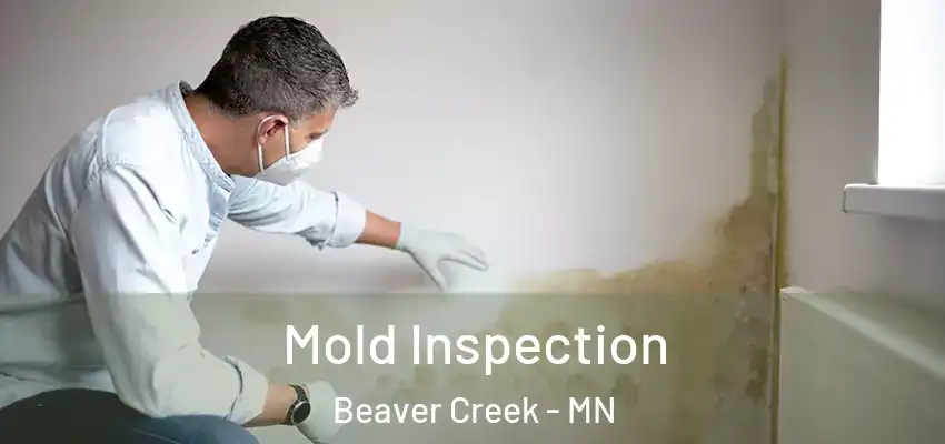  Mold Inspection Beaver Creek - MN