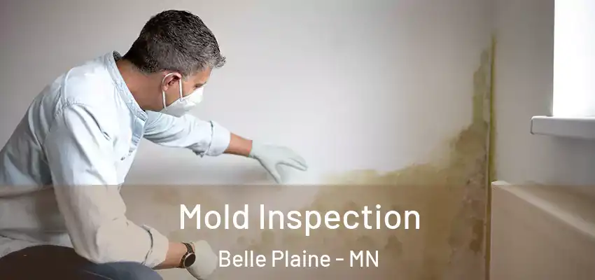  Mold Inspection Belle Plaine - MN
