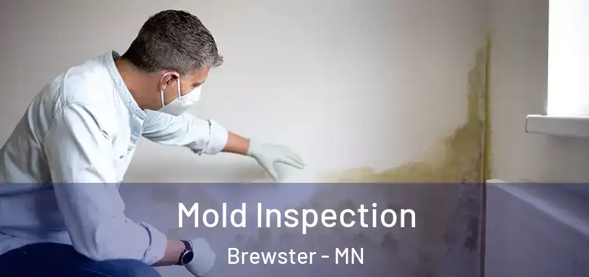  Mold Inspection Brewster - MN