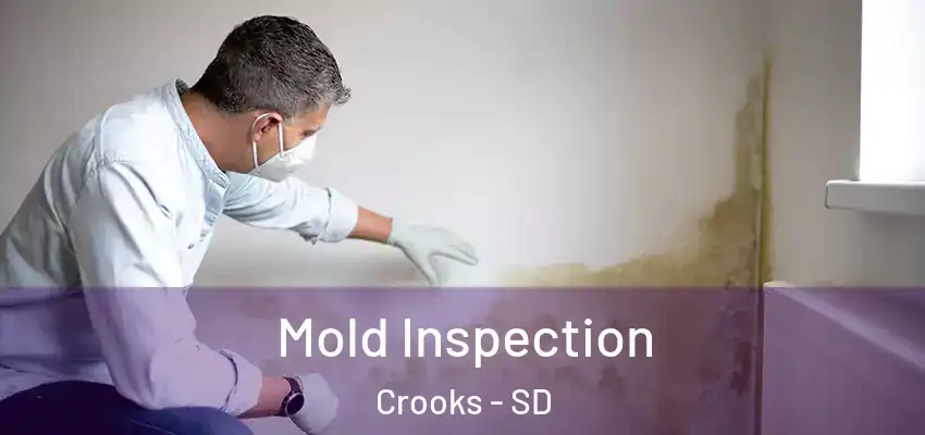  Mold Inspection Crooks - SD