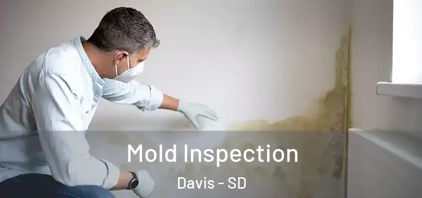  Mold Inspection Davis - SD
