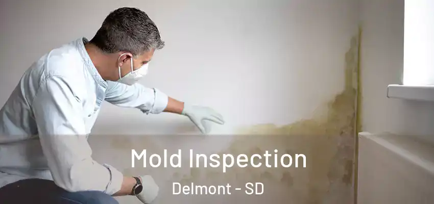  Mold Inspection Delmont - SD