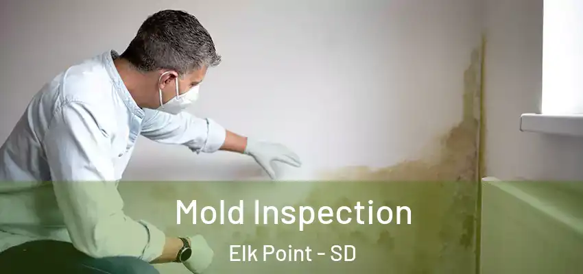 Mold Inspection Elk Point - SD
