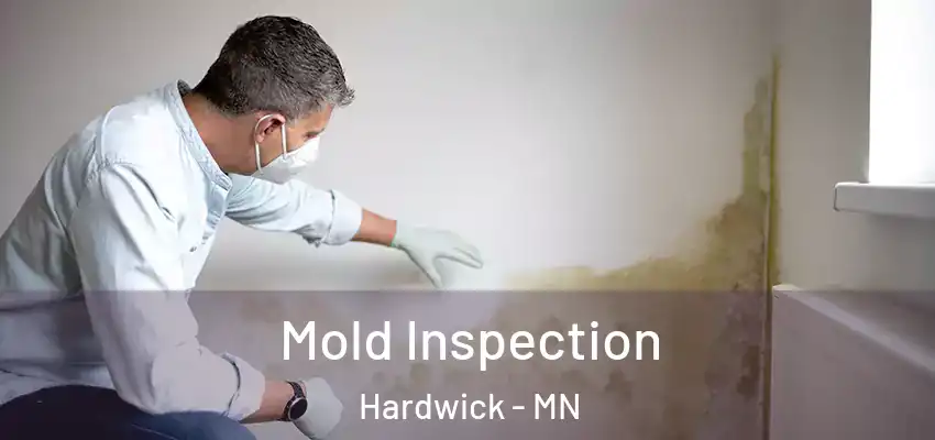 Mold Inspection Hardwick - MN