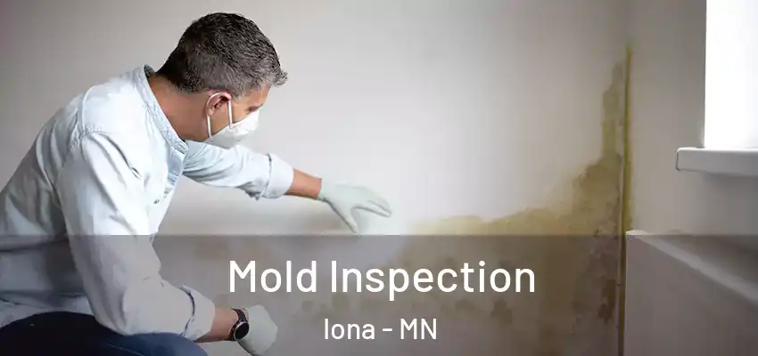  Mold Inspection Iona - MN