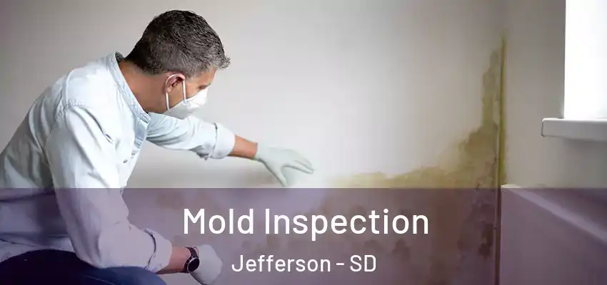  Mold Inspection Jefferson - SD