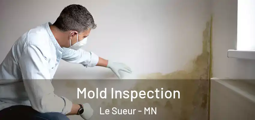  Mold Inspection Le Sueur - MN