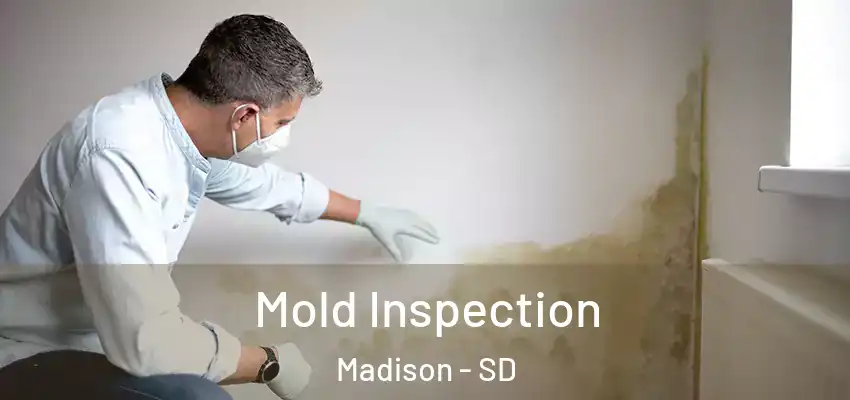 Mold Inspection Madison - SD