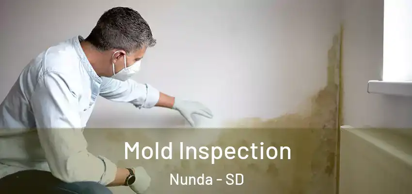  Mold Inspection Nunda - SD