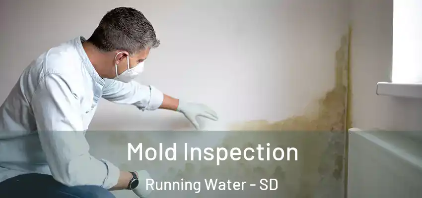  Mold Inspection Running Water - SD