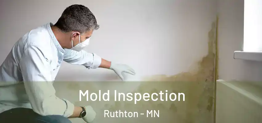  Mold Inspection Ruthton - MN