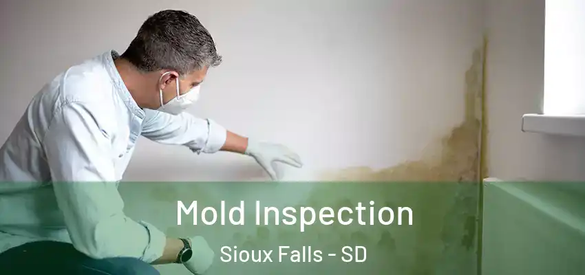  Mold Inspection Sioux Falls - SD