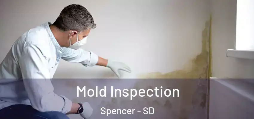  Mold Inspection Spencer - SD