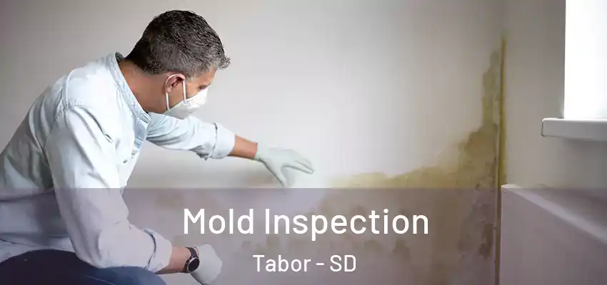 Mold Inspection Tabor - SD
