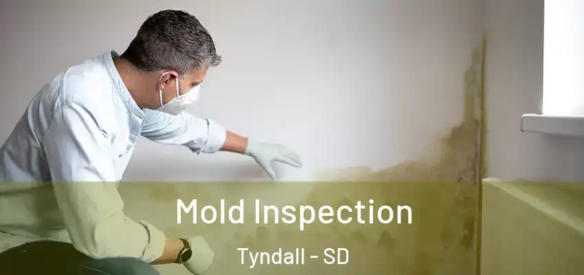 Mold Inspection Tyndall - SD
