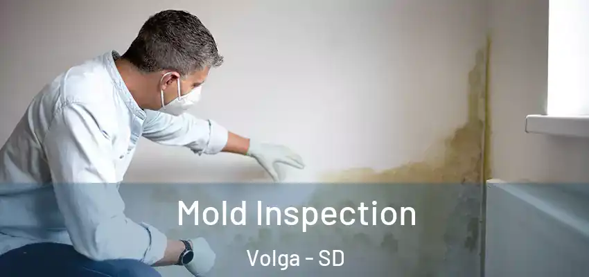  Mold Inspection Volga - SD