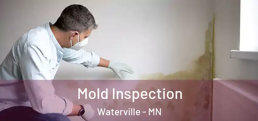  Mold Inspection Waterville - MN