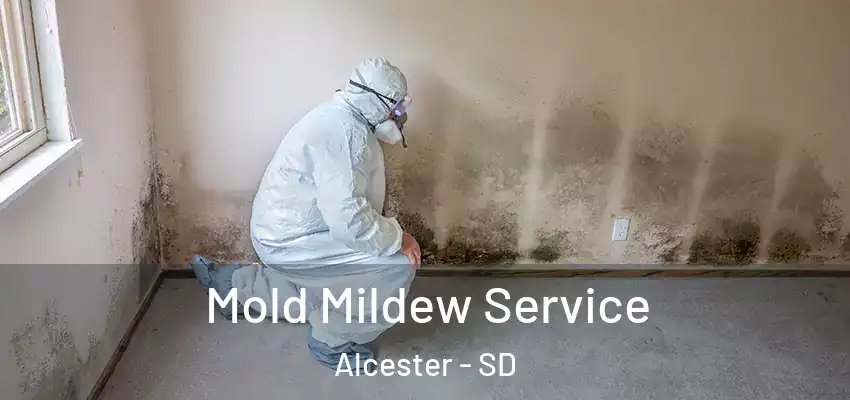  Mold Mildew Service Alcester - SD