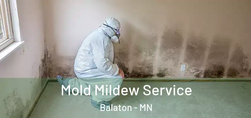  Mold Mildew Service Balaton - MN
