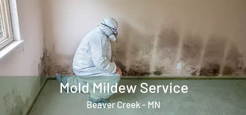  Mold Mildew Service Beaver Creek - MN