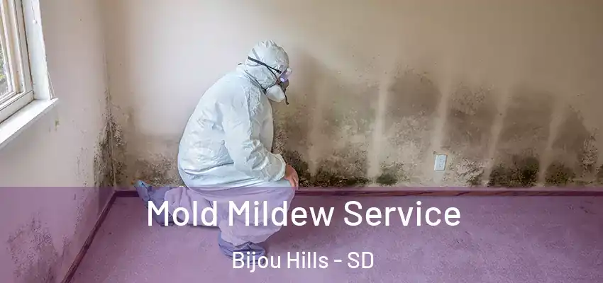  Mold Mildew Service Bijou Hills - SD