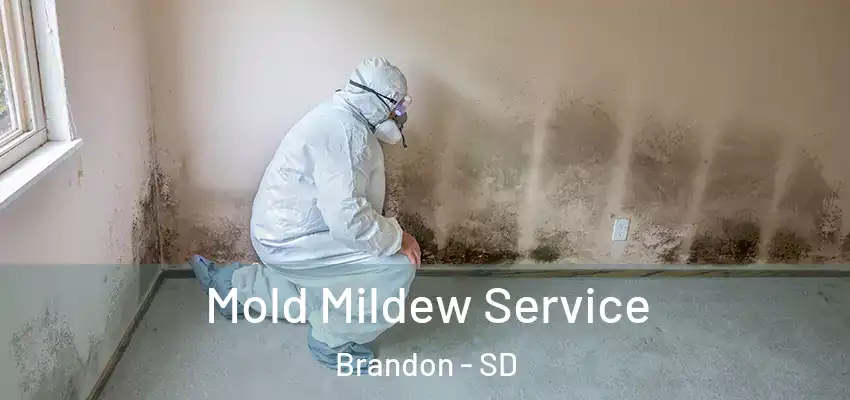  Mold Mildew Service Brandon - SD