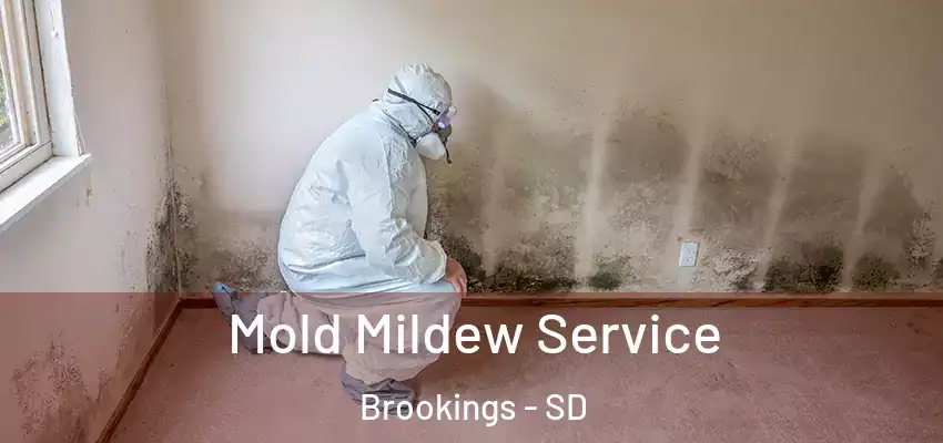  Mold Mildew Service Brookings - SD