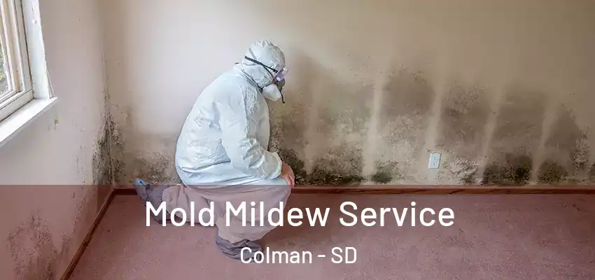  Mold Mildew Service Colman - SD