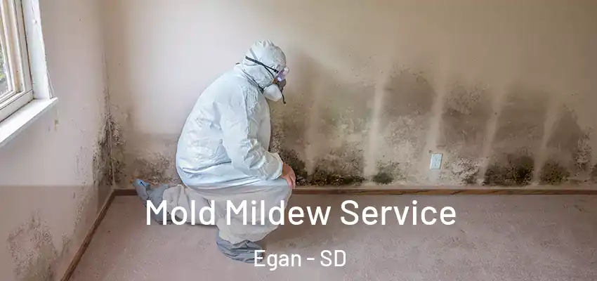 Mold Mildew Service Egan - SD