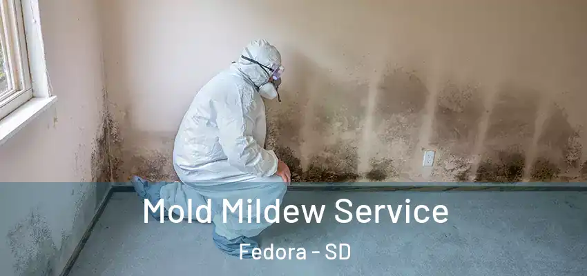  Mold Mildew Service Fedora - SD