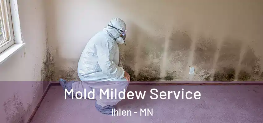  Mold Mildew Service Ihlen - MN