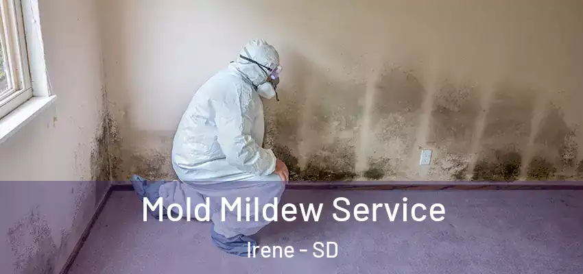  Mold Mildew Service Irene - SD
