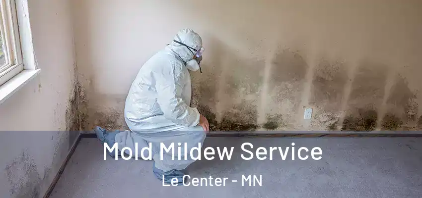  Mold Mildew Service Le Center - MN
