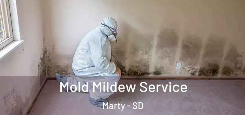  Mold Mildew Service Marty - SD