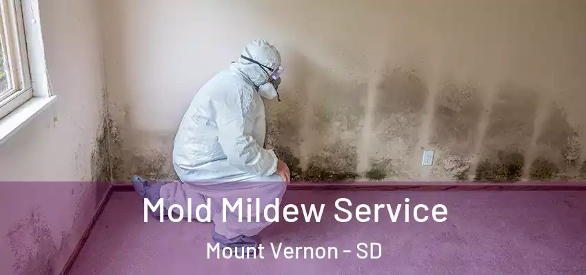  Mold Mildew Service Mount Vernon - SD