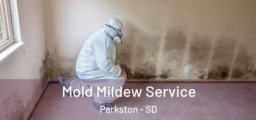  Mold Mildew Service Parkston - SD