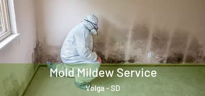  Mold Mildew Service Volga - SD