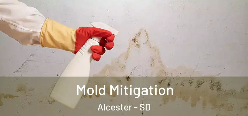 Mold Mitigation Alcester - SD