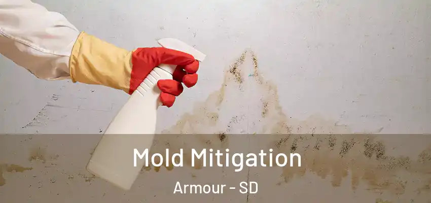  Mold Mitigation Armour - SD