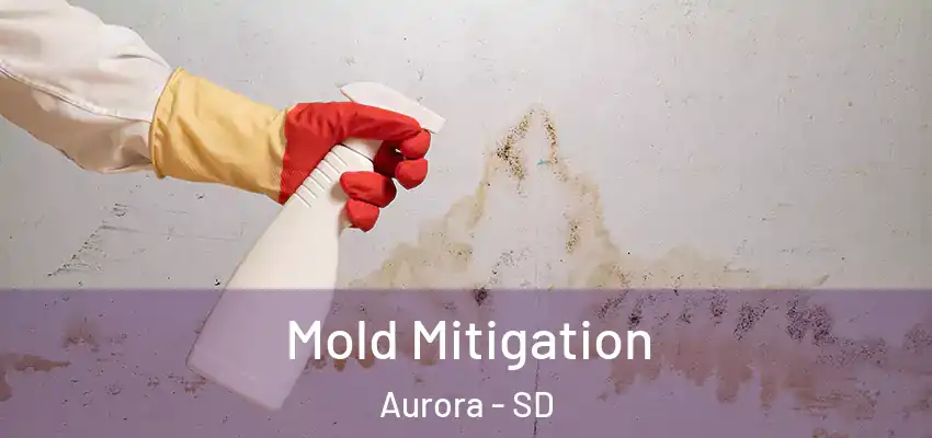  Mold Mitigation Aurora - SD