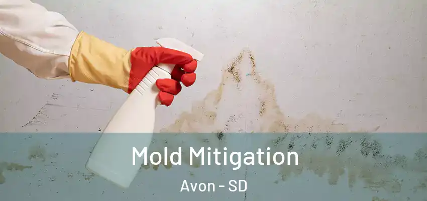  Mold Mitigation Avon - SD