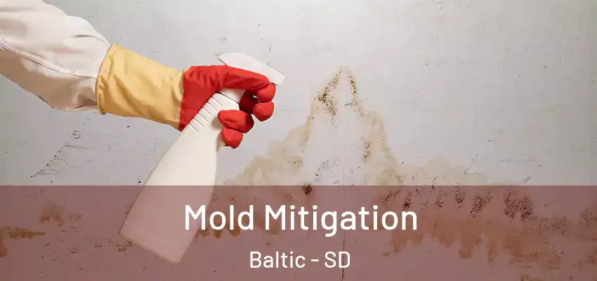  Mold Mitigation Baltic - SD