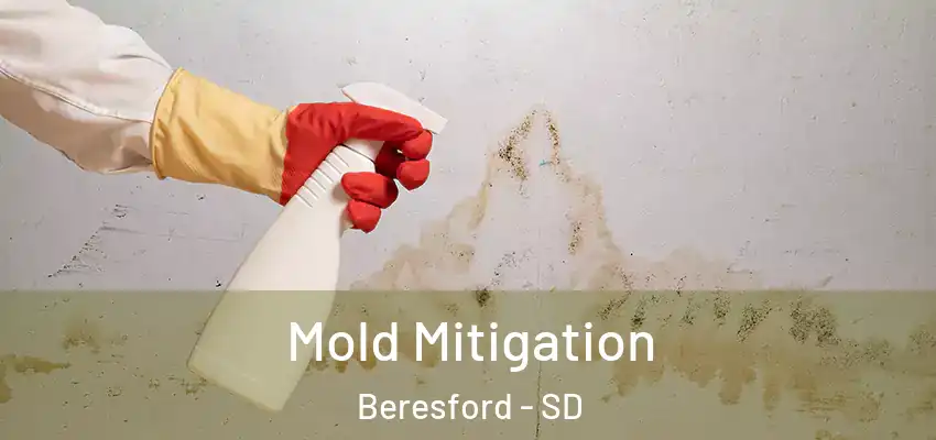Mold Mitigation Beresford - SD