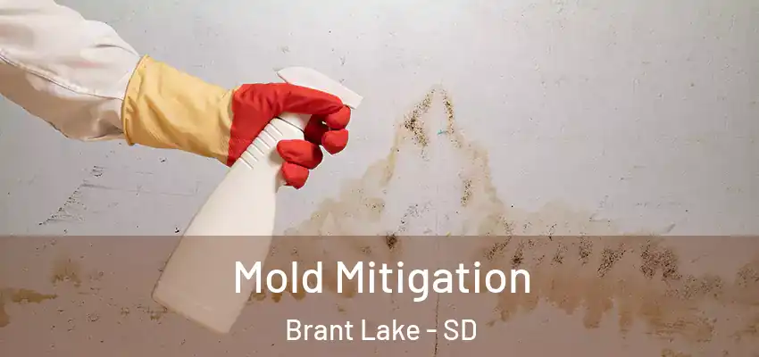  Mold Mitigation Brant Lake - SD